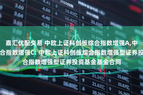 嘉汇优配交易 中欧上证科创板综合指数增强A,中欧上证科创板综合指数增强C: 中欧上证科创板综合指数增强型证券投资基金基金合同